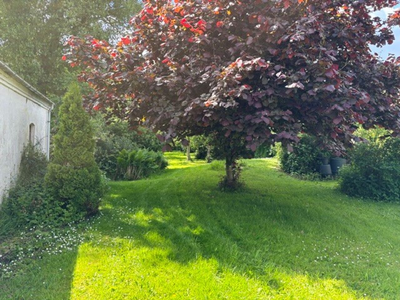 image 04